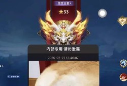 王者内部【KSU】辅助